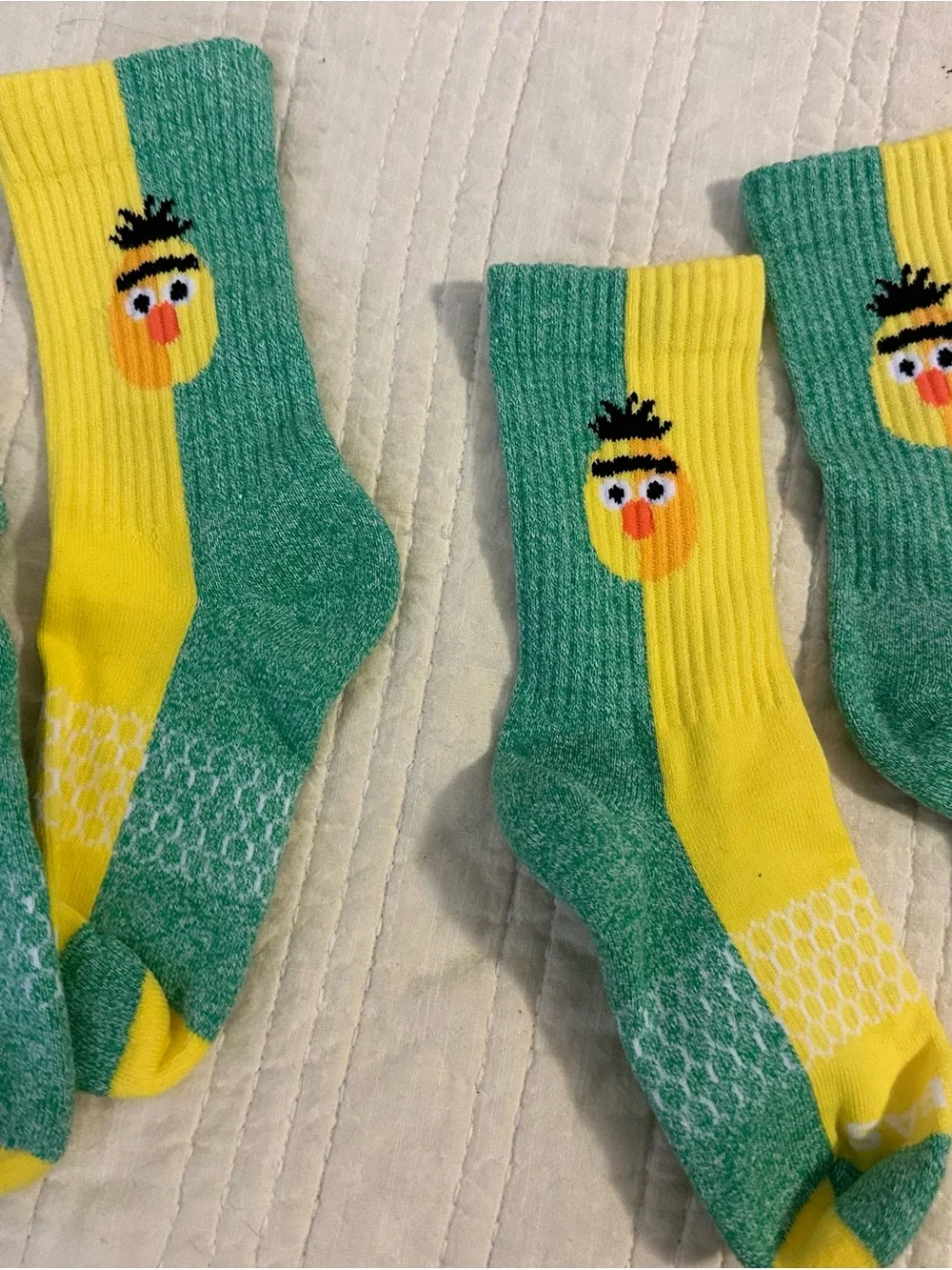 Bombas Seasame Street Bert Youth 2 pair Crew Socks